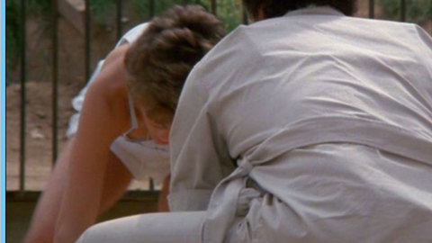 Kristy McNichol in White Dog (1982) Breasts Breasts Brunette 642168