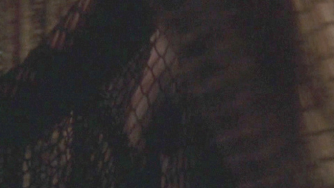 Helen Mirren in Excalibur (1981) Breasts Breasts Fishnet 694132