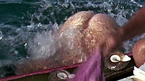 Helen Mirren in Age of Consent (1969) Butt Bush Butt Nude 745067