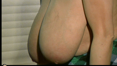 Chesty Morgan in Double Agent 73 (1974) Breasts Big Breasts Breasts 712322