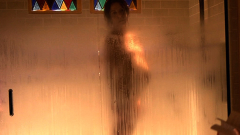 Mary-Louise Parker in Weeds (2005-2012) Sexy Brunette Fogged Glass 672907