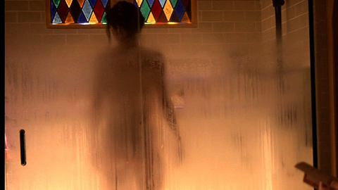 Mary-Louise Parker in Weeds (2005-2012) Sexy Fogged Glass Sexy 672905