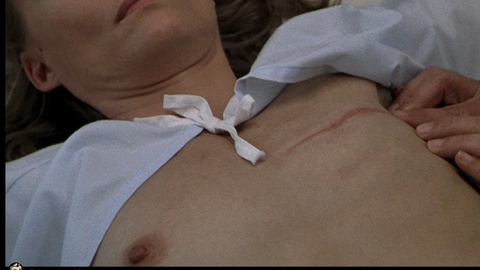 Michelle Pfeiffer in A Thousand Acres (1997) Breasts Breasts Brunette 679728