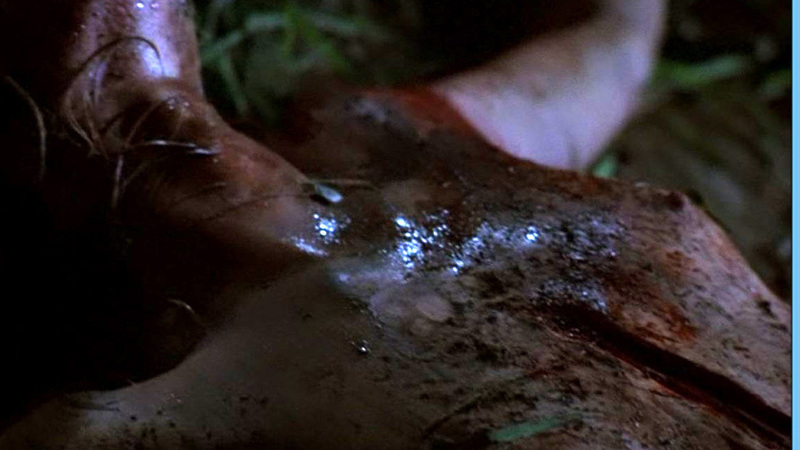 Martha Plimpton Naked in Eye of God. Breasts, bloody, hard nipples. 603619