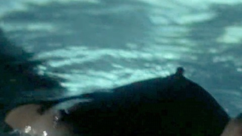 Theresa Russell in Black Widow (1987) Breasts Breasts Hard Nipples 776599
