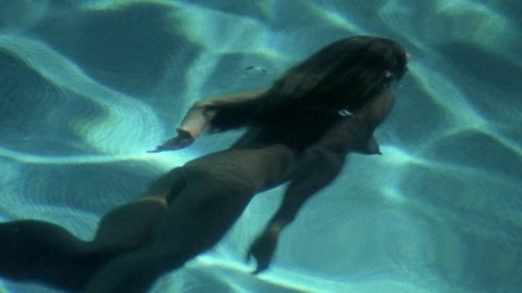 Theresa Russell in Black Widow (1987) Breasts Butt Breasts Brunette 776602