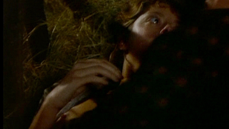 Susan Sarandon Naked as Sarah. Breasts, brunette, couple. 670743