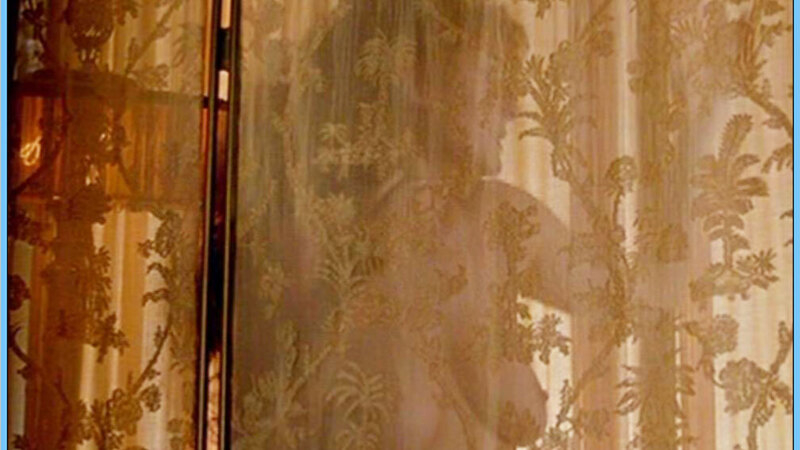 Hottest Celimene Scenes. Sexy, breasts through curtain, sillohuette. 558207