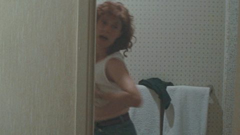 Susan Sarandon Naked in Thelma & Louise. Breasts, SFW, bathroom. 693385