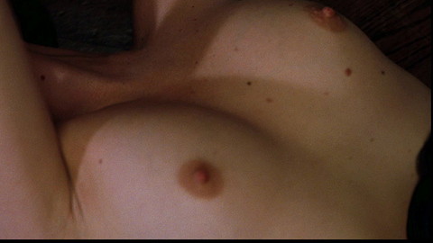 Charlize Theron in The Devil's Advocate (1997) Breasts Breasts Brunette 715331