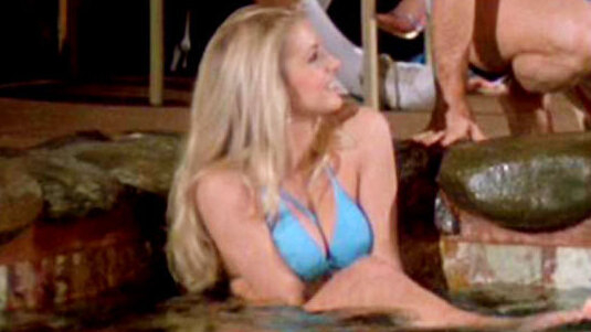 Hottest Heather Thomas Scene in The Fall Guy. Bikini, SFW, blonde. 655562