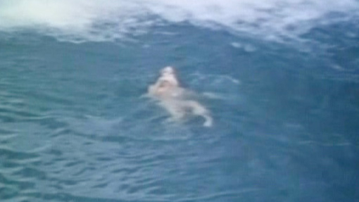 Sexiest Shannon Tweed Scene in The Firing Line. Sexy, in water, swimming nude. 554257