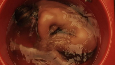 Chloë Sevigny Naked as Emma. Butt, bathtub, breasts. 735429