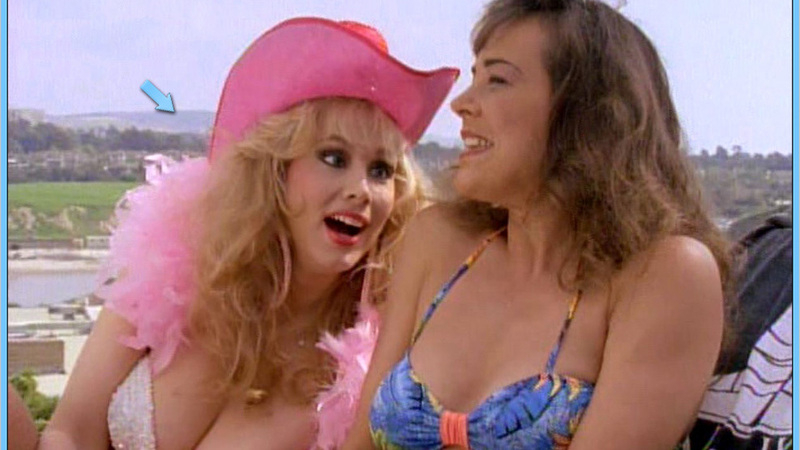 Heavy Petting Detective's Sexiest Scenes with Rhonda Shear. Bikini, SFW, blonde. 577902