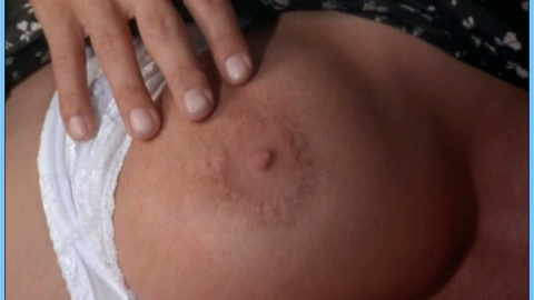 Anna Nicole Smith in Skyscraper (1997) Breasts Breasts Fake Breasts 552645