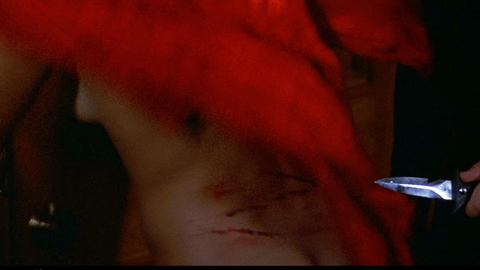 Talisa Soto in Licence to Kill (1989) Sexy Back Exposed Being Stabbed 706672