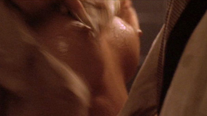 Sharon Stone Naked as Ellen "The Lady“. Breasts, accidental skin, close-up. 553245