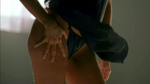 Sharon Stone in The Specialist (1994) Underwear Black Panties Sfw 701160