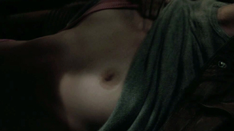 Sharon Stone in Border Run (2012) Breasts Breasts Crying 722097