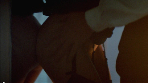 Madeleine Stowe in Revenge (1990) Bush Body Double Body Double Bottomless 676310