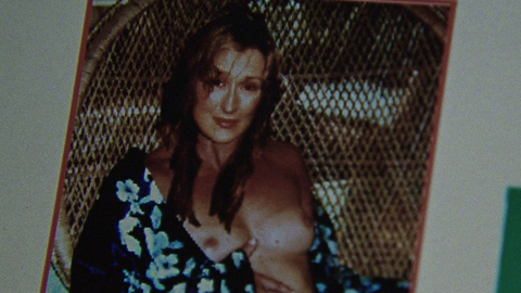 Meryl Streep in Adaptation (2002) Breasts Body Double Body Double Breasts 706732