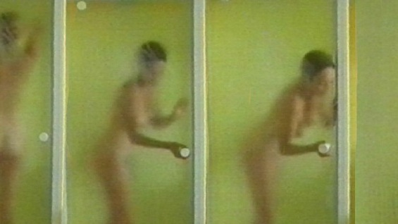 Alexandra Vandernoot Nude as Sarah. Breasts, Butt, brunette, foggy shower glass. 561440