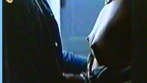Lindsay Wagner in Two People (1973) Breasts Breasts Brunette 554612