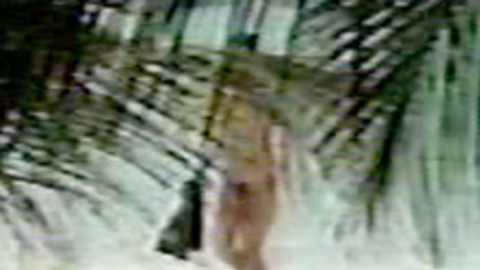 Rachel Ward Naked as Jessie Wyler. Bush, beach, blurry. 712287