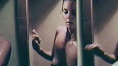 Lesley Ann Warren in Where the Eagle Flies (1972) Breasts Breasts Brunette 554691