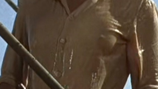 Sexiest Raquel Welch Scene in 100 Rifles. Sexy, SFW, brunette. 587203