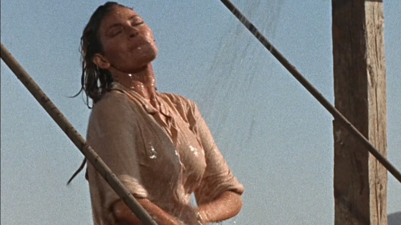 Hottest Raquel Welch Scene in 100 Rifles. Sexy, SFW, brunette. 587204