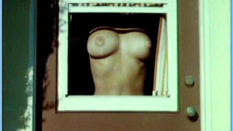 June Wilkinson Nude in The Immoral Mr. Teas. Breasts, flashing breasts, nude. 644842