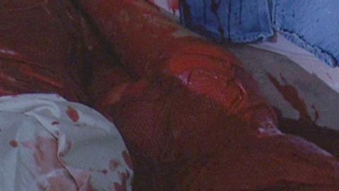 Sexiest Amanda Wyss Scene in A Nightmare on Elm Street. Sexy, blood, covered in blood. 700645
