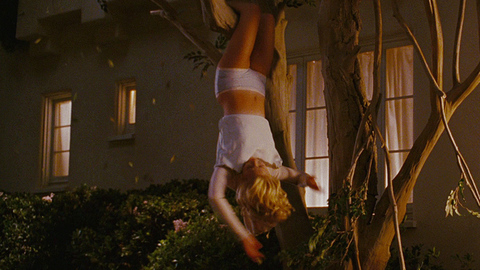 Katherine Heigl in The Ugly Truth (2009) Underwear Boyshorts Hangin Upside Down 677644