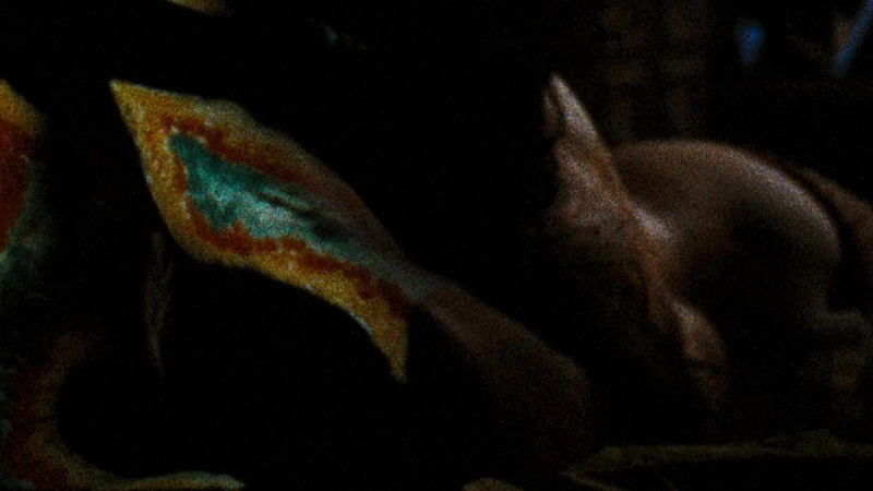 Susan Strasberg Nude as Sally Groves. Butt, in bed, nude. 786278
