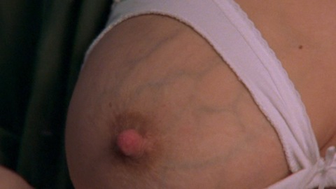 Nudes of Miranda Hobbes from Sex and the City. Breasts, breast close-up, hard nipples. 676068