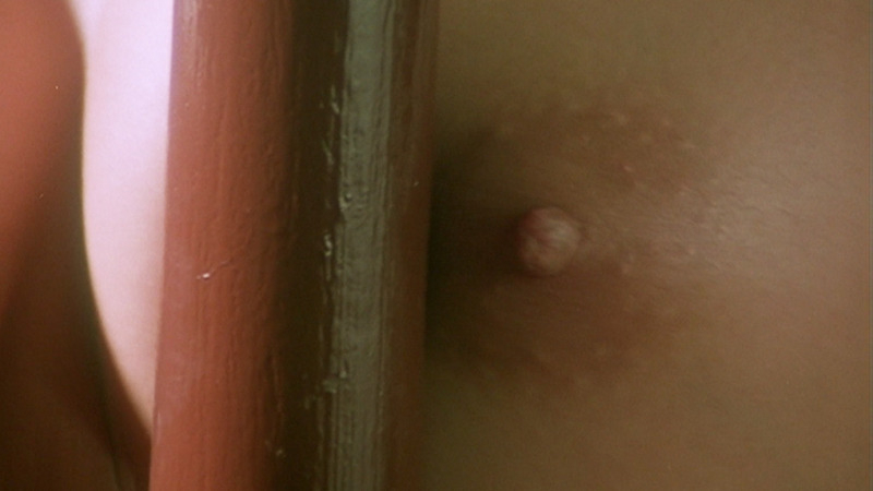 Amy Yip Naked in Sex and Zen. Breasts, Body Double, close up, hard nipple. 807961