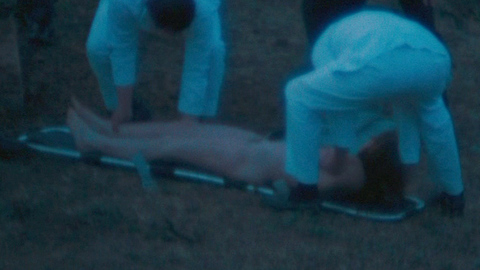 Dead Girl from Dirty Harry Naked. Bush, breasts, carrying woman. 685277