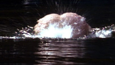 Hayley DuMond Naked as Flo Samuels. Butt, diving in water, in water. 558183
