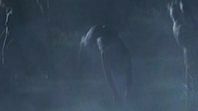 Polly Shannon Naked as Fiona Winters. Butt, Skinny Dipping, dark. 577191