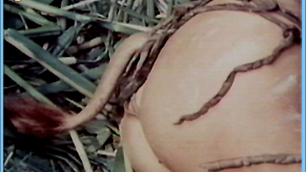 Senta Berger Naked as Filli. Butt, cave woman, nude. 558471