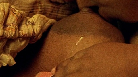 LisaGay Hamilton Naked in Beloved. Breasts, Black, breast feeding. 779311