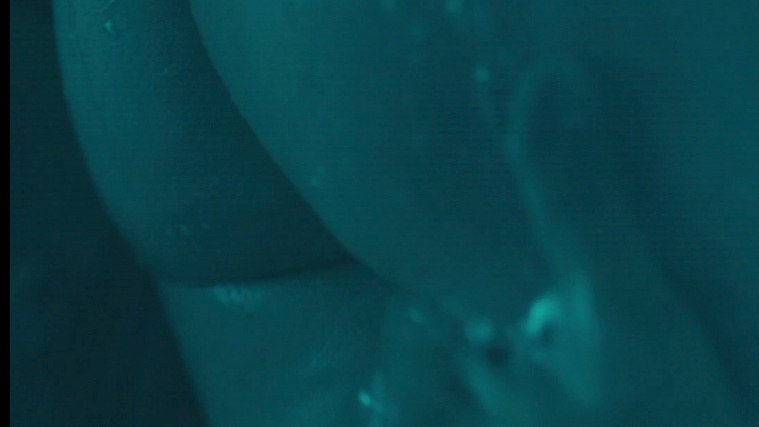 Michelle Williams Naked as Cindy Heller. Butt, butt close-up, couple in shower. 696465