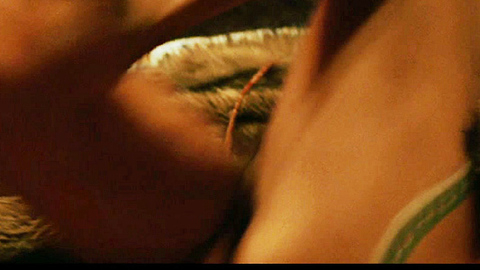 Rosario Dawson in Alexander (2004) Breasts Legs In Air Sexy 724249