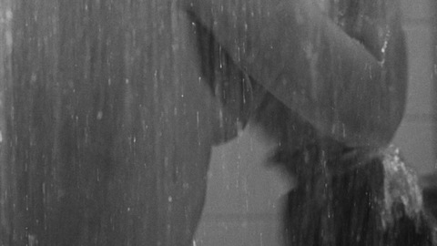 Janet Leigh in Psycho (1960) Sexy Bathroom Black And White 691216