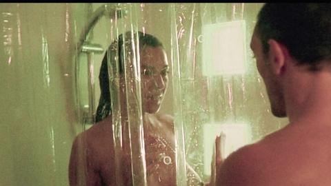 Alex from Irreversible Naked. Breasts, bruentte, clear shower curtain. 1007777