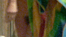 Kim Hopkins Naked in The Hollywood Knights. Bush, brunette, floral bikini. 701827