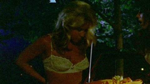 Dawn Clark in The Hollywood Knights (1980) Underwear Blonde Cleavage 701833