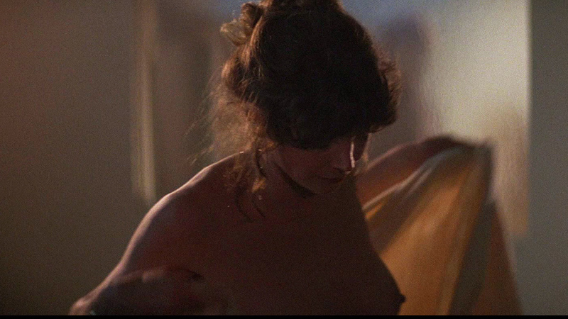 Pamela Susan Shoop Nude in Halloween II. Breasts, brunette, left breast. 715648