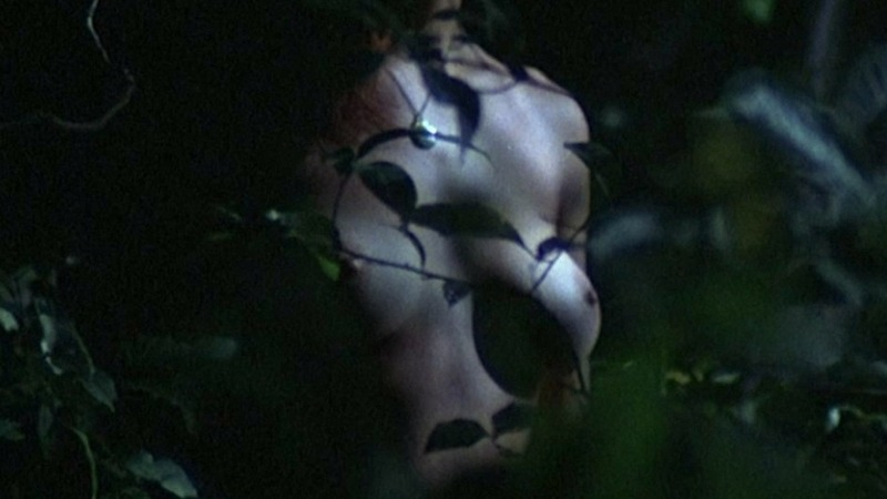 Patricia Tallman Naked in Knightriders. Breasts, brunette, jungle. 742453